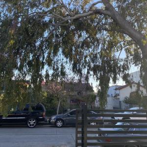 收聽Kody Lavigne的Stuck (Explicit)歌詞歌曲