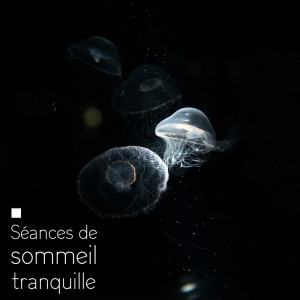 Listen to Berceuse pure song with lyrics from Sleeping Baby Music