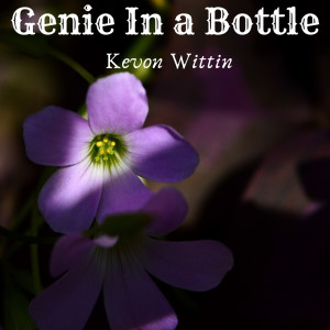 Dengarkan lagu Genie in a Bottle nyanyian Kevon Wittin dengan lirik