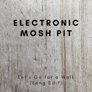 Listen to Let's Go for a Walk (Long Edit) song with lyrics from Electronic Mosh Pit
