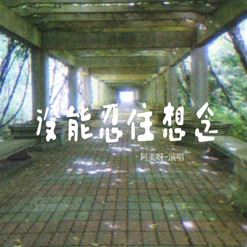 没能忍住想念 (伴奏)