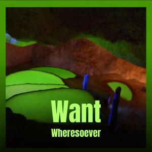 Album Want Wheresoever from Various