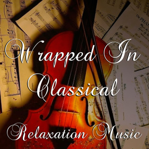Listen to VI song with lyrics from Oslo Chamber Orchestra