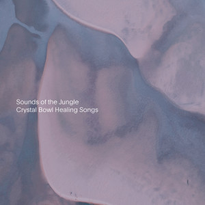 Sounds of the Jungle的專輯Crystal Bowl Healing Songs