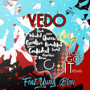 收聽Vedo的You Got It (Remix)歌詞歌曲