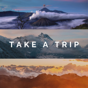 Album Take A Trip oleh Various