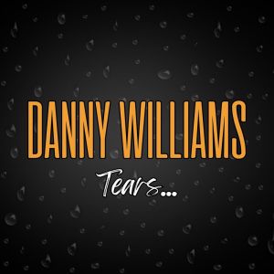 收聽Danny Williams的The Wonderful World Of The Young歌詞歌曲