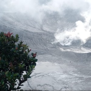 Listen to Tataplah Aku song with lyrics from Sams