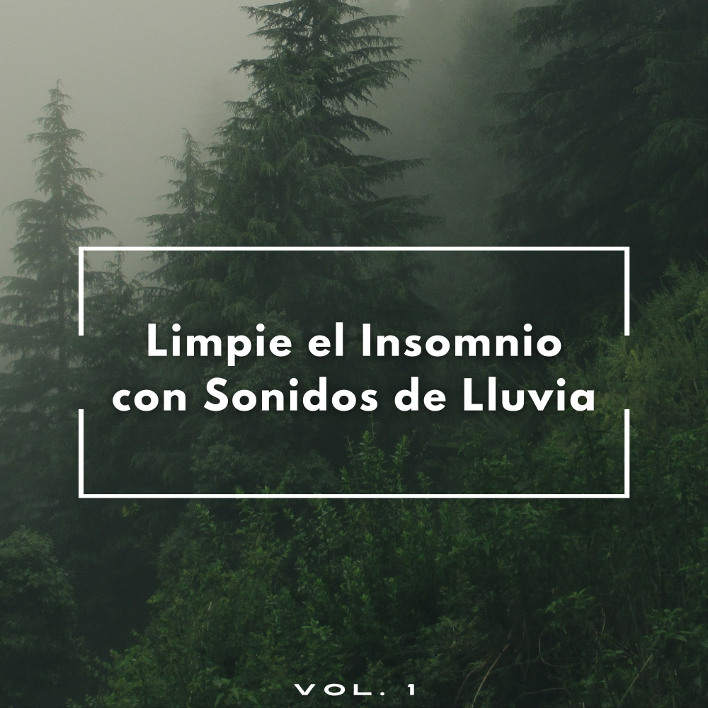 Ruido De Lluvia Floreciente
