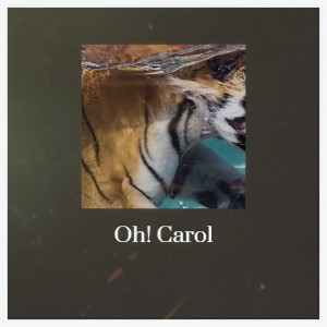 ดาวน์โหลดและฟังเพลง Oh! Carol พร้อมเนื้อเพลงจาก The Diamonds