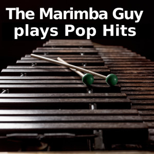 Marimba Guy的專輯The Marimba Guy plays Pop Hits