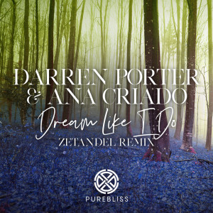 收听Darren Porter的Dream Like I Do (Zetandel Remix)歌词歌曲