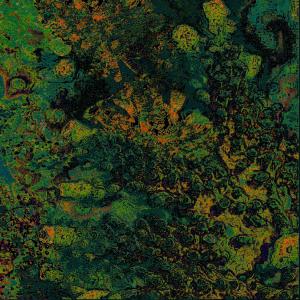 收聽Maisha的Banyan Tree歌詞歌曲