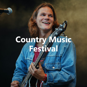 Various Artists的專輯Country Music Festival
