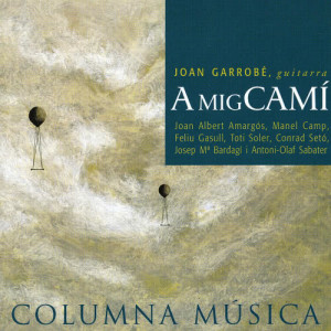 ดาวน์โหลดและฟังเพลง Deu Bonsais per a Guitarra: X. Bonsai 10 พร้อมเนื้อเพลงจาก Feliu Gasull