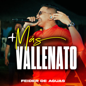 Listen to Nunca Te Olvidaré (En Vivo) song with lyrics from Feider De Aguas