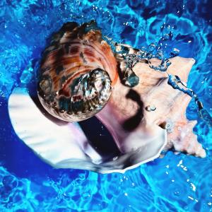 收聽Shygirl的Heaven (feat. Tinashe)歌詞歌曲