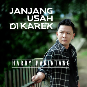 Album Janjang Usah Di Karek oleh Harry Parintang