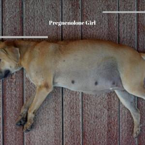 Dengarkan Wish One another lagu dari Dorthe Maili dengan lirik