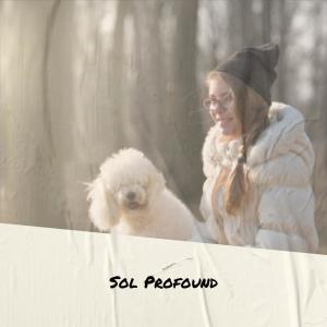 Album Sol Profound from Various