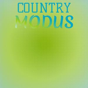 Various Artists的專輯Country Modus