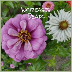收听Lauryne的Increases Dear歌词歌曲