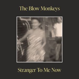 The Blow Monkeys的專輯Stranger To Me Now (Streaming Version)