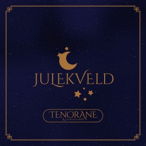 收聽Tenorane og Steffen Horn的Julekveld (Det lyser i stille grender)歌詞歌曲