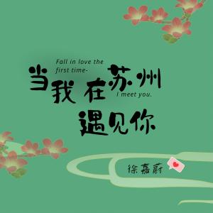 徐嘉蔚的專輯當我在蘇州遇見你