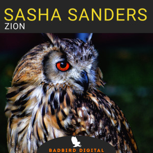 Listen to Zion (Vladimir Great Remix) song with lyrics from Sasha Sanders