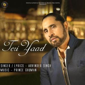 Dengarkan Teri Yaad lagu dari Arvinder Singh dengan lirik