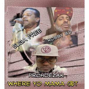 อัลบัม Where Yo Mama At (Explicit) ศิลปิน ProHoeZak