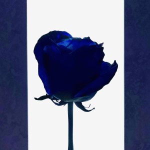 Listen to fairytale song with lyrics from LIU KOI