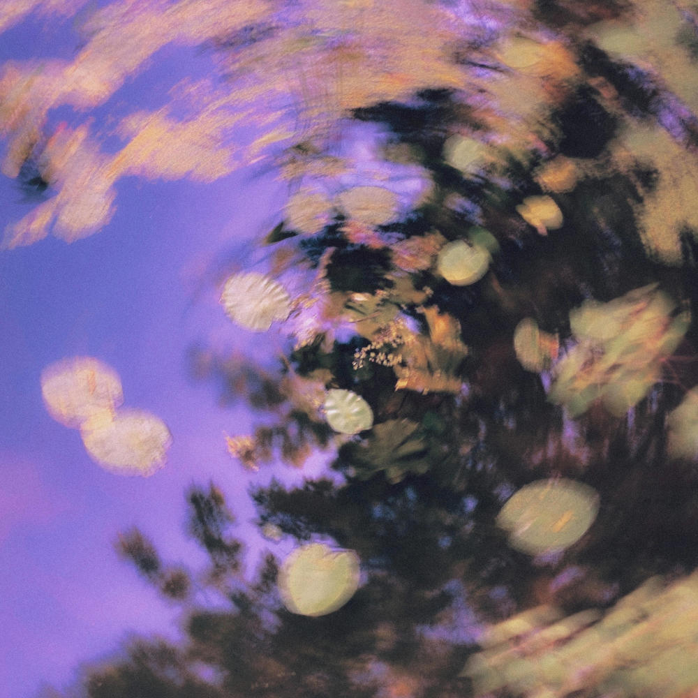 Leaves Fall (feat. WAJI) (Explicit)