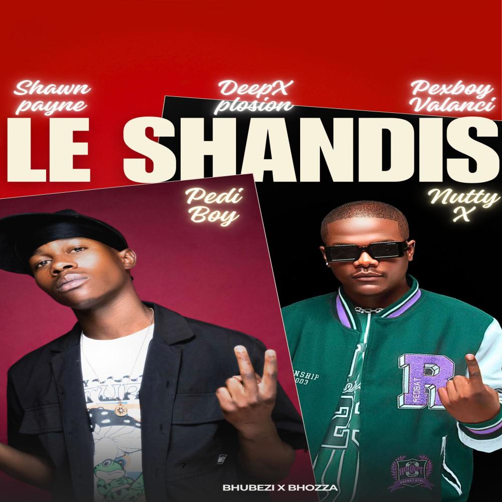 Le shandis (feat. Nutty X, Shawn Payne, DeepXplosion & Valanci Pex)
