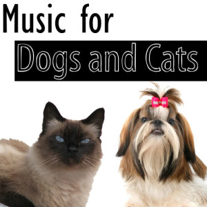 ดาวน์โหลดและฟังเพลง Greensleeves พร้อมเนื้อเพลงจาก Pet Music Masters