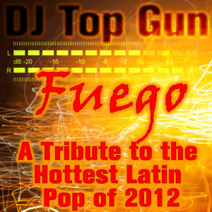 收聽DJ Top Gun的Don Omar - Taboo (Instrumental Version)歌詞歌曲