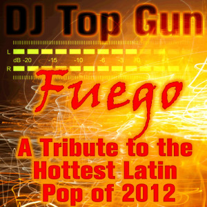 收聽DJ Top Gun的Enrique Iglesias - Hero (Instrumental Version)歌詞歌曲