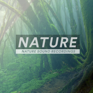 Various的专辑Nature - Nature Sound Recordings