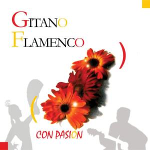 ดาวน์โหลดและฟังเพลง Entre Dos Aguas พร้อมเนื้อเพลงจาก Gitano Experience