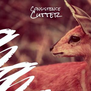 收听Dony Olger的Consistence Cutter歌词歌曲