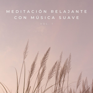 Album Meditación Relajante Con Música Suave Vol. 1 from Musica pilates