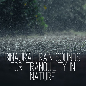 Binaural Rain Sounds for Tranquility in Nature