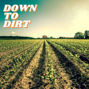 อัลบัม Down to Dirt (feat. Adam Cunningham) ศิลปิน Adam Cunningham