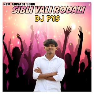 Listen to Sibli wali poyri (Rodali) song with lyrics from The Desi Dholki Lovers