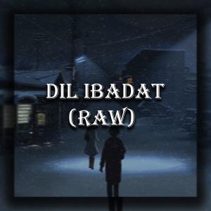 อัลบัม Dil Ibadat (Raw) ศิลปิน mrid0