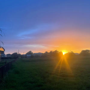 收聽lilrawrxw的All love (feat. Kaynu) (Explicit)歌詞歌曲