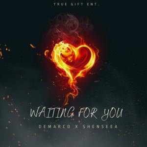 อัลบัม Waiting For You (feat. Shenseea) ศิลปิน DeMarco