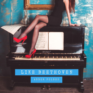 Andor Foldes的專輯Like Beethoven