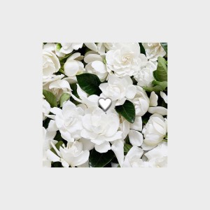 Album 我陪你 oleh 徐秉龙
